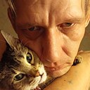 Лис, 39 лет
