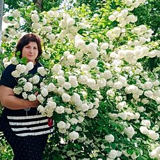 Фотография девушки Настюша, 25 лет из г. Харцызск
