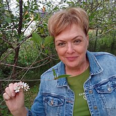 Фотография девушки Лена, 56 лет из г. Псков