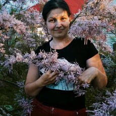 Фотография девушки Наташа, 29 лет из г. Шебекино