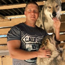 Фотография мужчины Дима, 41 год из г. Свислочь