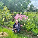 Владимир, 68 лет