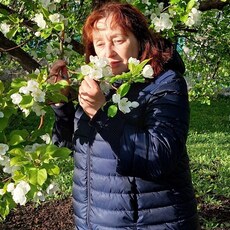 Фотография девушки Надежда, 55 лет из г. Кумертау