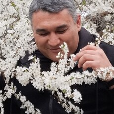 Фотография мужчины Шерзод, 39 лет из г. Варшава