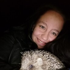 Фотография девушки Алёна, 26 лет из г. Киреевск