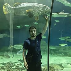 Фотография мужчины Далер, 29 лет из г. Солнечногорск