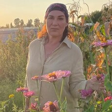 Фотография девушки Лена, 55 лет из г. Богучар