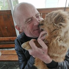 Фотография мужчины Владимир, 59 лет из г. Краснодар