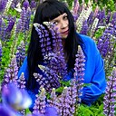 Лена, 37 лет