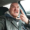 Лис, 34 года