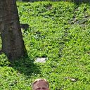 Alex, 38 лет