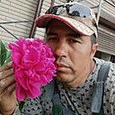 Маруф, 37 лет