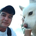 Алексей, 37 лет