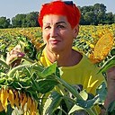Светлана, 60 лет