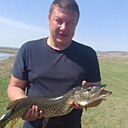 Алексей, 37 лет