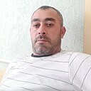 Ово, 40 лет