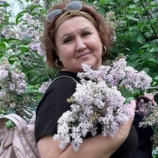 Фотография девушки Наталья, 51 год из г. Новый Уренгой