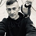 Миха, 29 лет