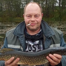 Фотография мужчины Слава, 42 года из г. Бобруйск