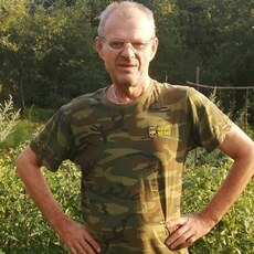 Фотография мужчины Володя, 61 год из г. Старый Оскол