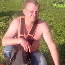 Фотография мужчины Алексей, 45 лет из г. Владимир