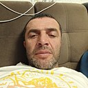 Лев, 40 лет