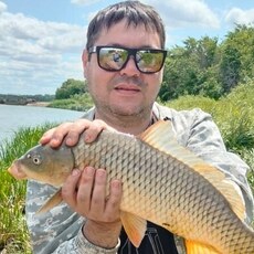 Фотография мужчины Роман, 41 год из г. Михайловка (Волгоградская Област