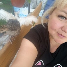 Фотография девушки Татьяна, 41 год из г. Димитровград