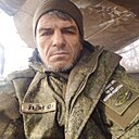 Лис, 49 лет