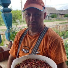 Фотография мужчины Александр, 46 лет из г. Самара