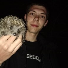 Фотография мужчины Андрей, 22 года из г. Рубцовск