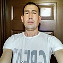 Лев, 40 лет