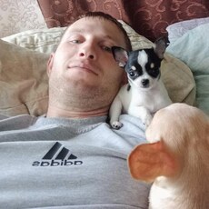 Фотография мужчины Николай, 31 год из г. Таганрог