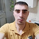 Кот, 31 год