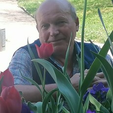Фотография мужчины Владимир, 66 лет из г. Москва