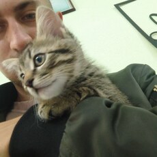 Фотография мужчины Николай, 25 лет из г. Богородицк