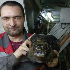 Фотография мужчины Михаил, 36 лет из г. Находка