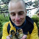 Андрей, 33 года