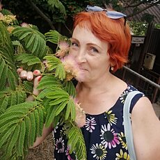 Фотография девушки Александра, 51 год из г. Прямицыно