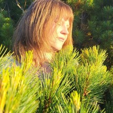 Фотография девушки Алена, 32 года из г. Магадан