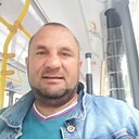 Кипарис, 45 лет