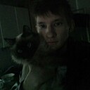 Дмитрий, 29 лет