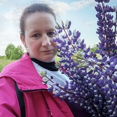 Фотография девушки Вика, 30 лет из г. Санкт-Петербург