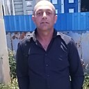 Енот, 43 года
