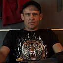 Николай, 36 лет