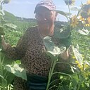 Настя, 38 лет