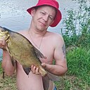 Колыван, 31 год