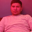 Aladdin, 31 год