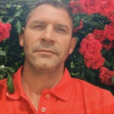 Фотография мужчины David, 35 лет из г. Ульм