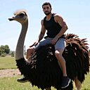 Damir, 30 лет